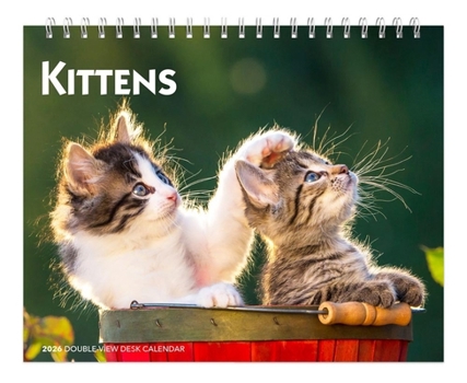 Home Kittens 2026 7.5 X 6 Inch Monthly Double-View Easel Desk Calendar Book