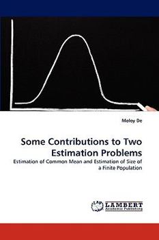 Paperback Some Contributions to Two Estimation Problems Book