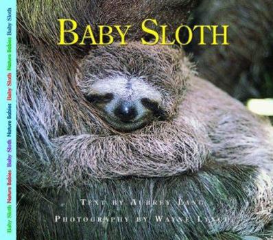 Baby Sloth (Nature Babies) - Book  of the Nature Babies