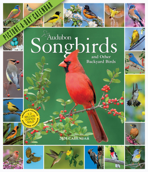 Calendar Audubon Songbirds and Other Backyard Birds Picture-A-Day Wall Calendar 2020 Book