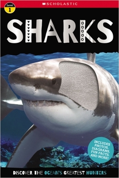 Paperback Sharks Book