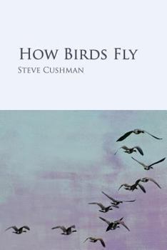 Paperback How Birds Fly Book