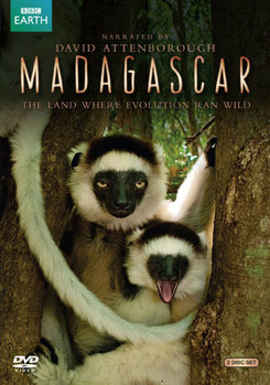 DVD Madagascar: The Land Where Evolution Ran Wild Book