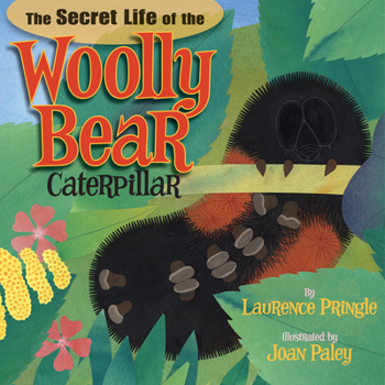 Hardcover The Secret Life of the Woolly Bear Caterpillar Book