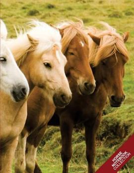 Horse Notebook Collection : (Horse Notebook, Journal, Diary) (Notebook Gifts) Collect Them All