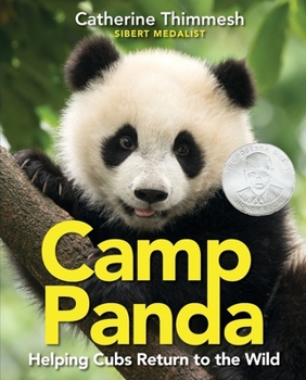 Hardcover Camp Panda: Helping Cubs Return to the Wild Book