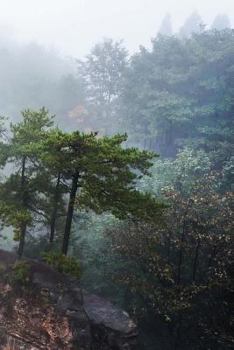 Paperback China Notebook Book