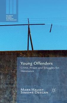 Paperback Young Offenders: Crime, Prison and Struggles for Desistance Book