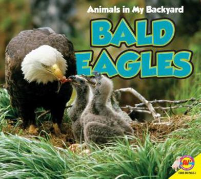 Paperback Bald Eagles with Code Book