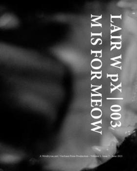 Paperback LAIR W pX 003 M IS FOR MEOW Book