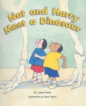 Paperback Rigby Flying Colors: Individual Student Edition Orange Nat and Harry Meet a Dinosaur Book