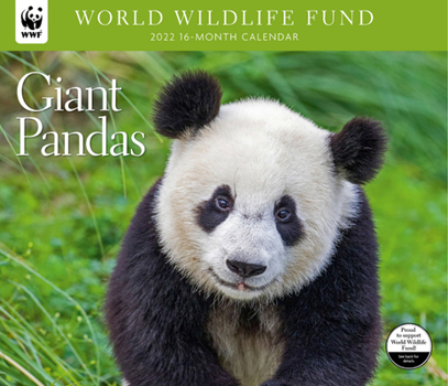 Calendar Giant Pandas WWF 2022 Wall Calendar Book