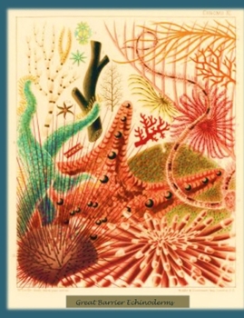 Paperback Great Barrier Echinoderms Book