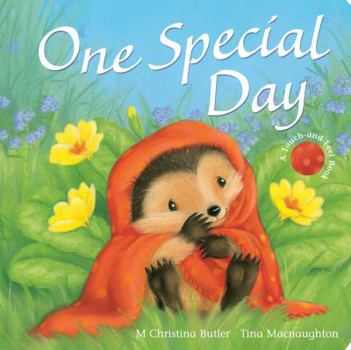 One Special Day - Book #4 of the Little Hedgehog