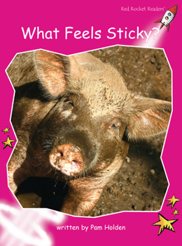 Paperback What Feels Sticky? Book