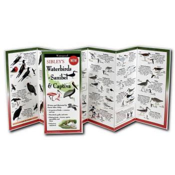 Paperback Sibley's Waterbirds of Sanibel & Captiva Book