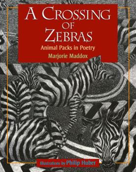 Hardcover A Crossing of Zebras Book