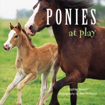 Paperback Ponies at Play Book