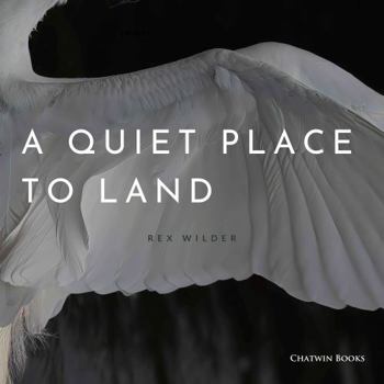 Paperback A Quiet Place to Land Book