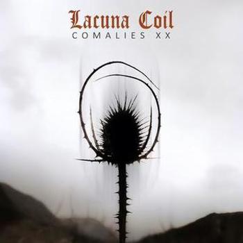 Vinyl Comalies Xx Book
