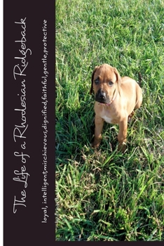 Paperback The Life of a Rhodesian Ridgeback: loyal, intelligent, mischievous, dignified, faithful, gentle, protective Book
