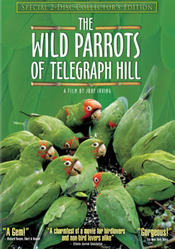 DVD The Wild Parrots of Telegraph Hill Book