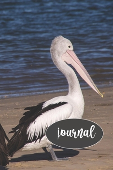 Paperback Pelican Journal: 100-page blank lined journal featuring a pelican photo Book