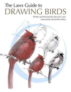 Paperback The Laws Guide to Drawing Birds Book