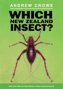 Paperback Which New Zealand Insect?: With Over 650 Life-Size Photos of New Zealand Insects Book
