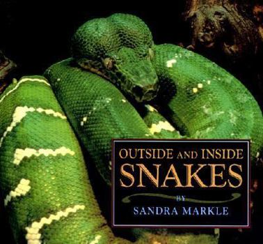 Hardcover Outside and Inside Snakes (Outside Inside) Book