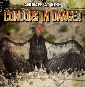 Library Binding Condors in Danger Book