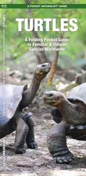 Paperback Turtles Book