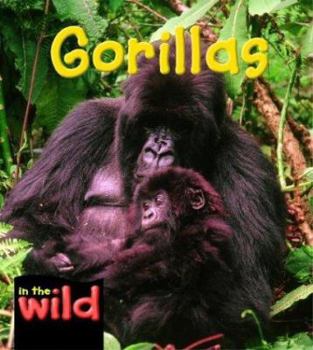 Hardcover Gorillas Book