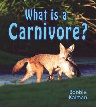 Paperback What Is a Carnivore? Book