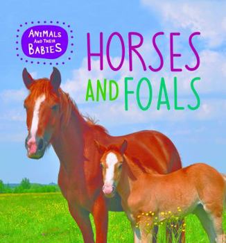 Hardcover Horses and Foals Book