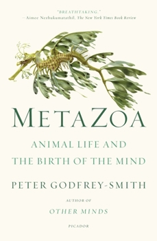 Paperback Metazoa: Animal Life and the Birth of the Mind Book