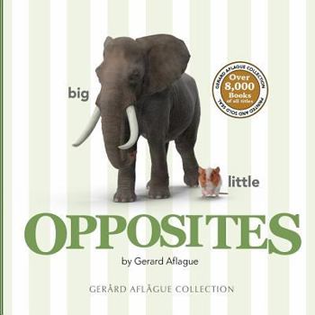 Paperback Opposites Book