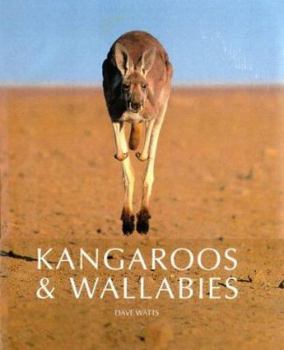 Hardcover Kangaroos and Wallabies of Australia Book