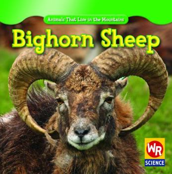 Bighorn Sheep - Book  of the Animals That Live in the Mountains