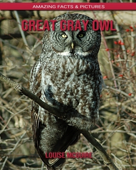 Great Gray Owl: Amazing Facts & Pictures