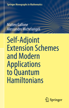 Hardcover Self-Adjoint Extension Schemes and Modern Applications to Quantum Hamiltonians Book