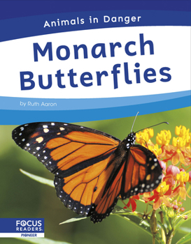 Monarch Butterflies