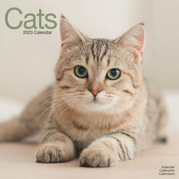 Calendar 2023 Cats Wall Calendar Book