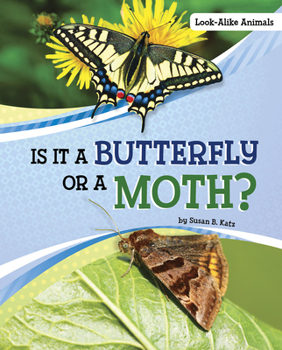 Hardcover Is It a Butterfly or a Moth? Book