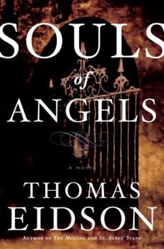 Hardcover Souls of Angels Book