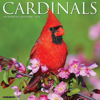 Calendar Cardinals 2024 12 X 12 Wall Calendar Book