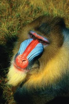 Mandrill Notebook