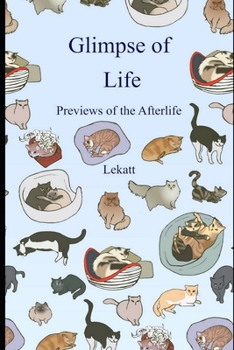 Paperback Glimpse of Life: Previews of the Afterlife Book