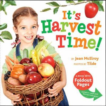 It's Harvest Time!: A Book with Foldout Pages