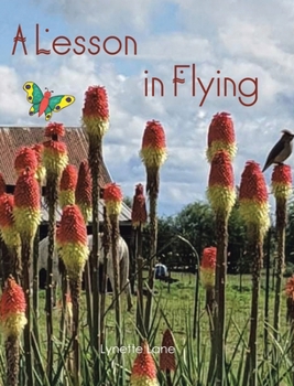 Hardcover A Lesson in Flying Book